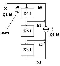 fir1.JPG